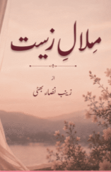 Milal E Zeest by Zainab Nisar Bhatti