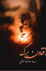 Aftadin Barg by Syeda Hamail Kazmi